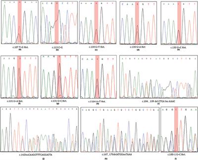 Expanded Somatic Mutation Spectrum of MED12 Gene in Uterine Leiomyomas of Saudi Arabian Women